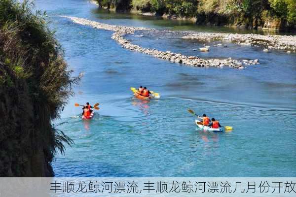 丰顺龙鲸河漂流,丰顺龙鲸河漂流几月份开放-第3张图片-呼呼旅行网