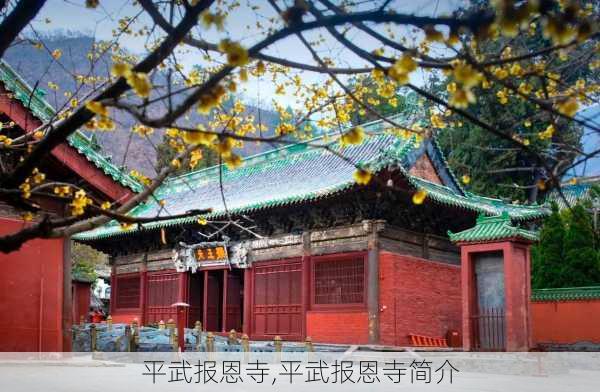 平武报恩寺,平武报恩寺简介-第1张图片-呼呼旅行网