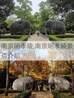 南京明孝陵,南京明孝陵景点介绍-第2张图片-呼呼旅行网