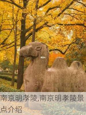 南京明孝陵,南京明孝陵景点介绍-第3张图片-呼呼旅行网