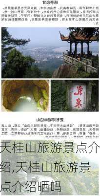 天桂山旅游景点介绍,天桂山旅游景点介绍晒吗-第1张图片-呼呼旅行网