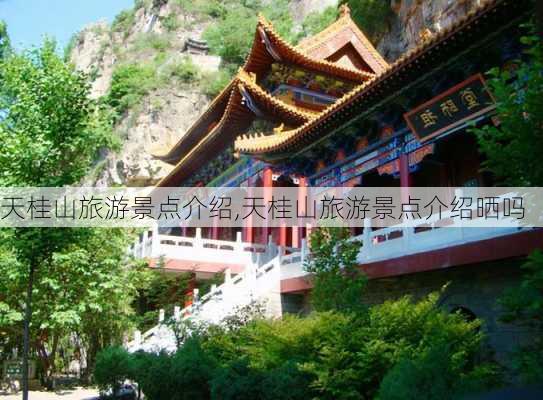 天桂山旅游景点介绍,天桂山旅游景点介绍晒吗-第3张图片-呼呼旅行网