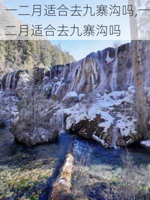 一二月适合去九寨沟吗,一二月适合去九寨沟吗-第1张图片-呼呼旅行网