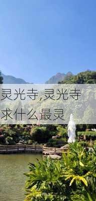 灵光寺,灵光寺求什么最灵-第3张图片-呼呼旅行网