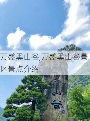 万盛黑山谷,万盛黑山谷景区景点介绍-第2张图片-呼呼旅行网