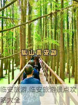 临安旅游,临安旅游景点攻略大全-第2张图片-呼呼旅行网