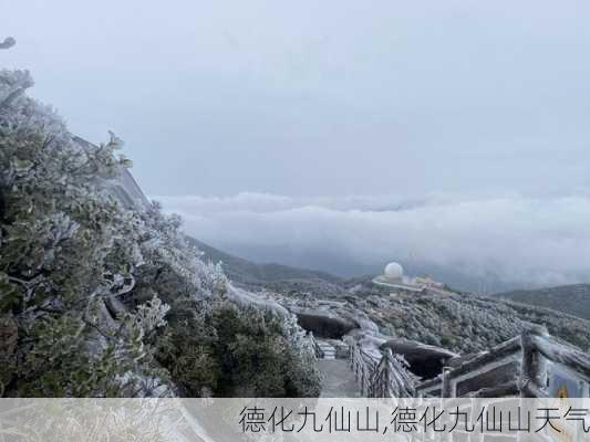 德化九仙山,德化九仙山天气-第1张图片-呼呼旅行网