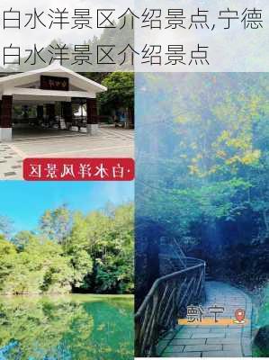 白水洋景区介绍景点,宁德白水洋景区介绍景点-第3张图片-呼呼旅行网