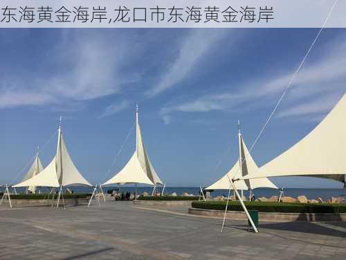 东海黄金海岸,龙口市东海黄金海岸-第2张图片-呼呼旅行网