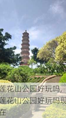 莲花山公园好玩吗,莲花山公园好玩吗现在-第3张图片-呼呼旅行网