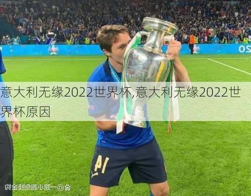 意大利无缘2022世界杯,意大利无缘2022世界杯原因-第3张图片-呼呼旅行网