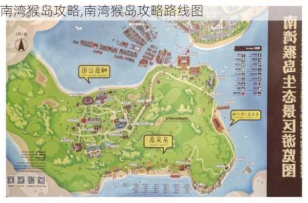 南湾猴岛攻略,南湾猴岛攻略路线图-第2张图片-呼呼旅行网