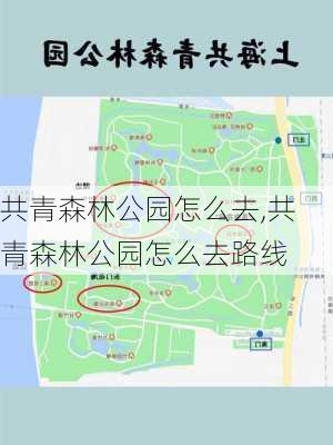 共青森林公园怎么去,共青森林公园怎么去路线