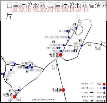 百里杜鹃地图,百里杜鹃地图高清图片-第2张图片-呼呼旅行网