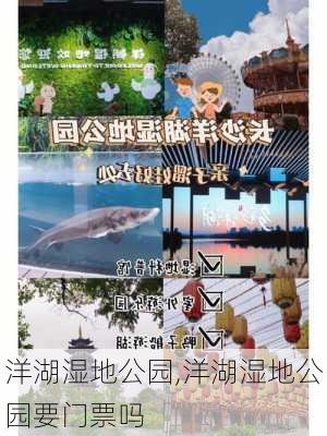 洋湖湿地公园,洋湖湿地公园要门票吗-第3张图片-呼呼旅行网