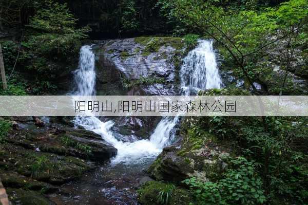 阳明山,阳明山国家森林公园