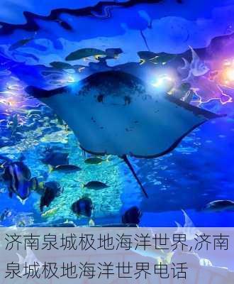 济南泉城极地海洋世界,济南泉城极地海洋世界电话-第3张图片-呼呼旅行网