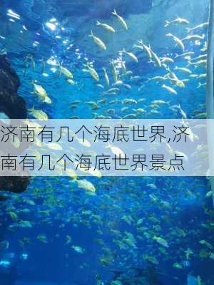 济南有几个海底世界,济南有几个海底世界景点-第3张图片-呼呼旅行网