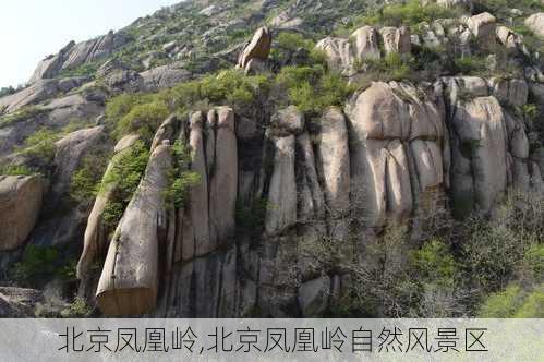 北京凤凰岭,北京凤凰岭自然风景区-第3张图片-呼呼旅行网