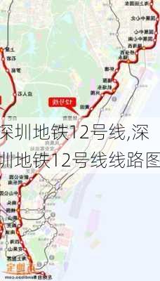 深圳地铁12号线,深圳地铁12号线线路图-第3张图片-呼呼旅行网