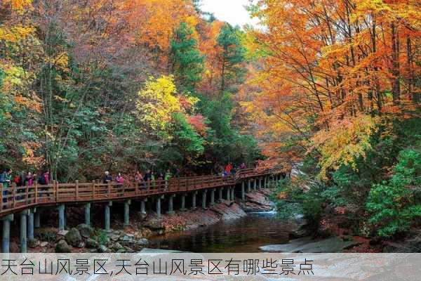 天台山风景区,天台山风景区有哪些景点-第3张图片-呼呼旅行网