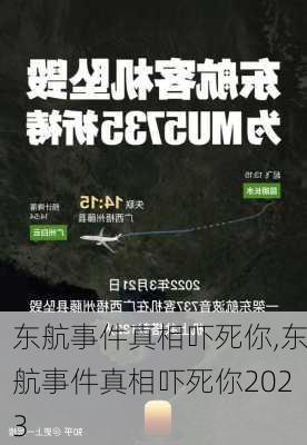 东航事件真相吓死你,东航事件真相吓死你2023-第2张图片-呼呼旅行网