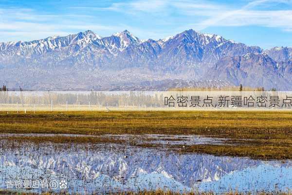 哈密景点,新疆哈密景点-第3张图片-呼呼旅行网