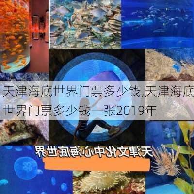 天津海底世界门票多少钱,天津海底世界门票多少钱一张2019年-第3张图片-呼呼旅行网