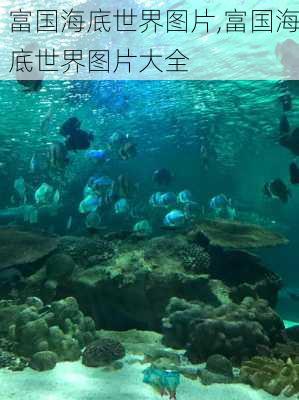 富国海底世界图片,富国海底世界图片大全-第3张图片-呼呼旅行网