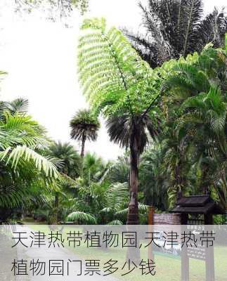 天津热带植物园,天津热带植物园门票多少钱-第2张图片-呼呼旅行网