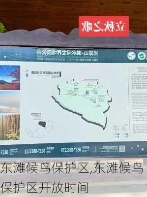 东滩候鸟保护区,东滩候鸟保护区开放时间-第2张图片-呼呼旅行网