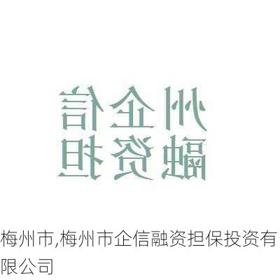 梅州市,梅州市企信融资担保投资有限公司