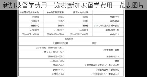 新加坡留学费用一览表,新加坡留学费用一览表图片-第1张图片-呼呼旅行网