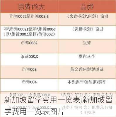 新加坡留学费用一览表,新加坡留学费用一览表图片-第2张图片-呼呼旅行网