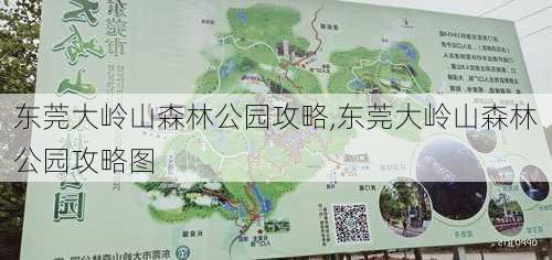 东莞大岭山森林公园攻略,东莞大岭山森林公园攻略图-第1张图片-呼呼旅行网