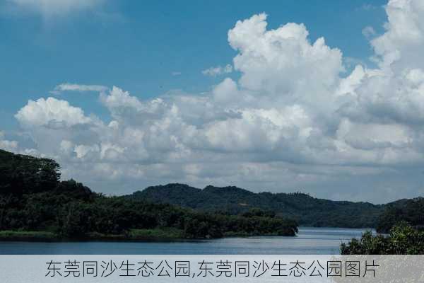 东莞同沙生态公园,东莞同沙生态公园图片-第2张图片-呼呼旅行网