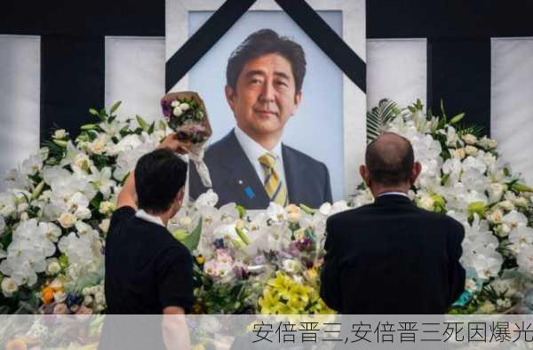 安倍晋三,安倍晋三死因爆光-第2张图片-呼呼旅行网