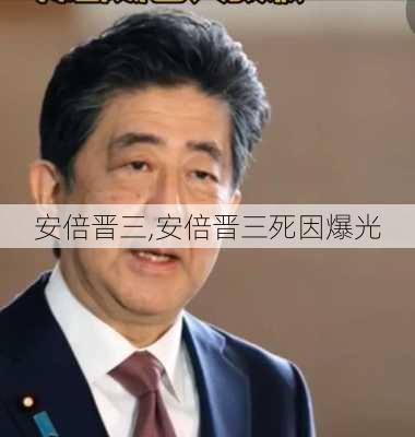 安倍晋三,安倍晋三死因爆光-第3张图片-呼呼旅行网