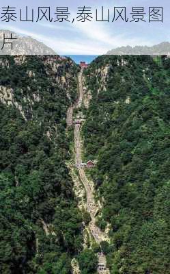 泰山风景,泰山风景图片-第2张图片-呼呼旅行网