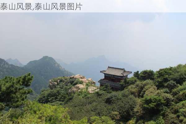 泰山风景,泰山风景图片-第3张图片-呼呼旅行网