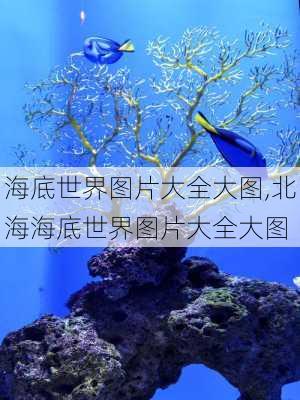 海底世界图片大全大图,北海海底世界图片大全大图-第2张图片-呼呼旅行网