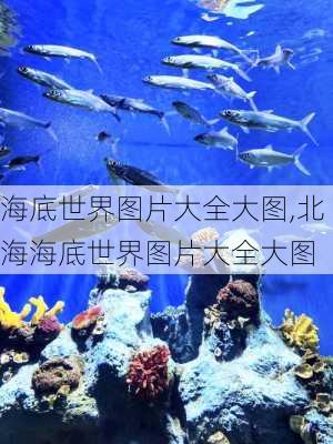 海底世界图片大全大图,北海海底世界图片大全大图-第3张图片-呼呼旅行网