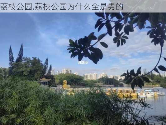 荔枝公园,荔枝公园为什么全是男的-第2张图片-呼呼旅行网