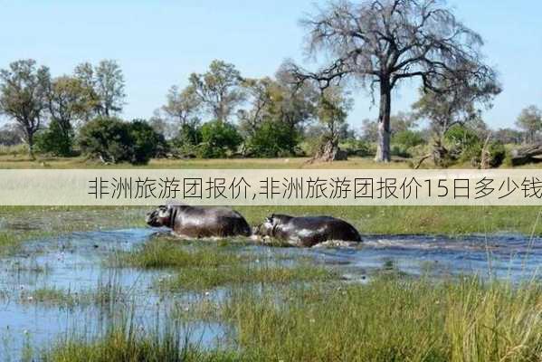 非洲旅游团报价,非洲旅游团报价15日多少钱-第2张图片-呼呼旅行网