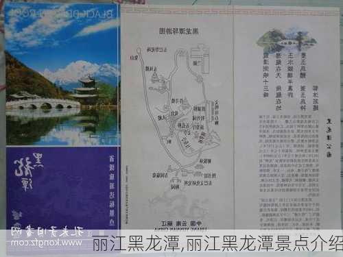 丽江黑龙潭,丽江黑龙潭景点介绍-第2张图片-呼呼旅行网