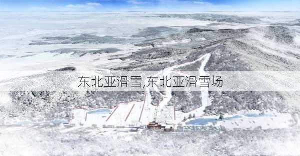 东北亚滑雪,东北亚滑雪场-第3张图片-呼呼旅行网