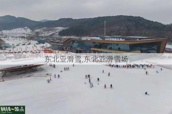 东北亚滑雪,东北亚滑雪场-第2张图片-呼呼旅行网