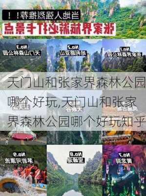 天门山和张家界森林公园哪个好玩,天门山和张家界森林公园哪个好玩知乎-第3张图片-呼呼旅行网