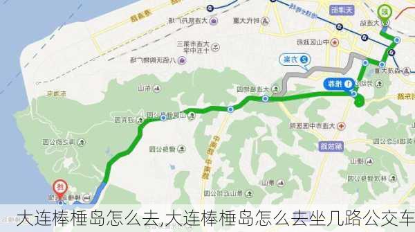 大连棒棰岛怎么去,大连棒棰岛怎么去坐几路公交车-第1张图片-呼呼旅行网