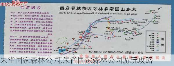 朱雀国家森林公园,朱雀国家森林公园游玩攻略